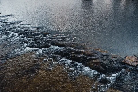 德国、慕尼黑、flaucher、waves、blue、orange、wildlife、慕尼黑