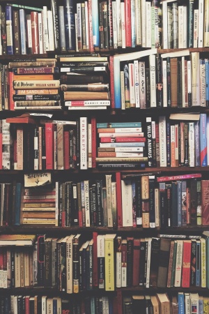 书架上的书，booksm收藏，书架，图书馆，页面，小说，经典，小说