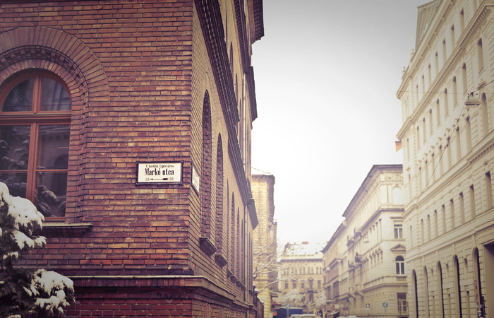 冬季的旧建筑，有一棵白雪覆盖的树