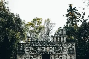 森林中一座古庙，四周树木环绕