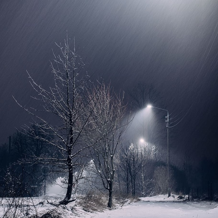 雪，黑暗，夜晚，树木，灯光，灯柱，天空，户外