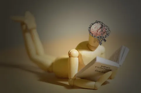 大脑、思考、控制、教育、精神、政策、法律、沉默