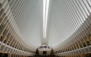 oculus，美国曼哈顿，建筑，火车站，按外观，钢骨，纽约