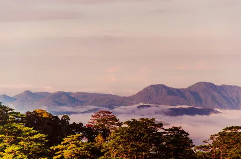绿色,叶子树,山,白天,天空,树,夜晚,自然 绿色,叶子树,山,白天,天空,树,夜晚,自然