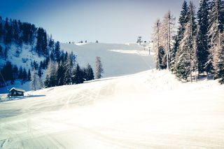 意大利，麝香猫，自然，阿尔卑斯山，寒冷，高，户外，闪闪发光