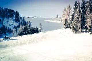 意大利，麝香猫，自然，阿尔卑斯山，寒冷，高，户外，闪闪发光