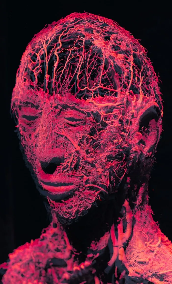 德国ulm blautalcenter静脉人身体世界koerperwelten人类