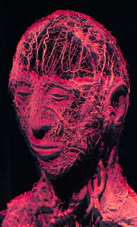 德国ulm blautalcenter静脉人身体世界koerperwelten人类