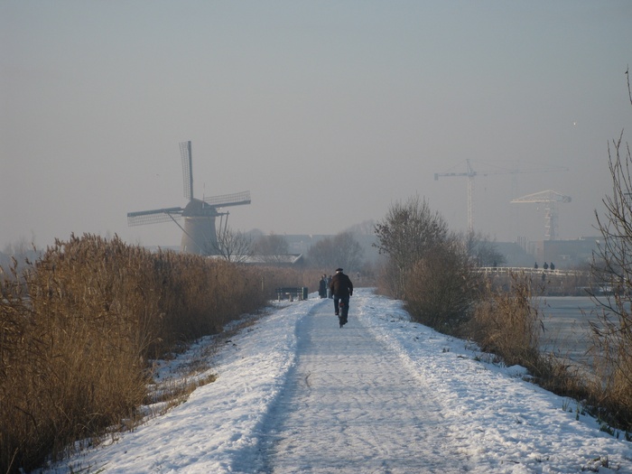 kinderdijk，荷兰，molina，冬季景观，冬季，雪，低温，自然