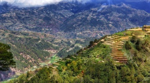 卡迪莱拉、山区、山脉、地区、萨加达、山顶、农民、梯田