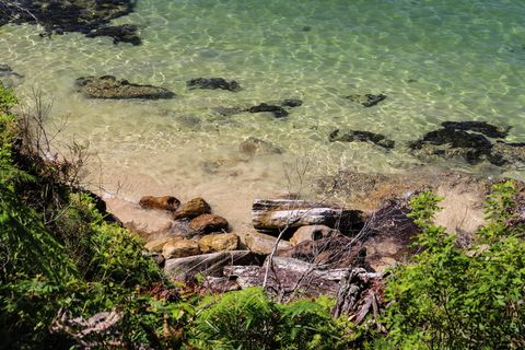 水，户外，自然，澳大利亚，岩石，海洋，植物，随地吐痰