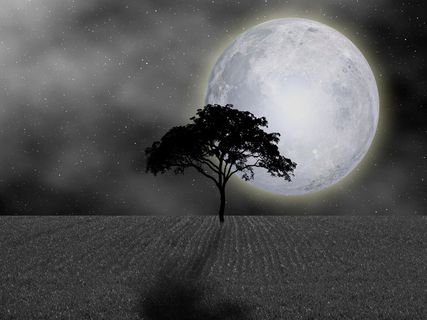 夜，黑暗，星星，月亮，黄昏，剪影，孤独的夜晚，寂静的夜晚