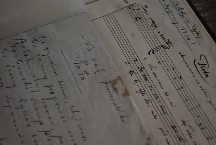 书，图书馆，教育，知识，档案，租金，旧，灰尘