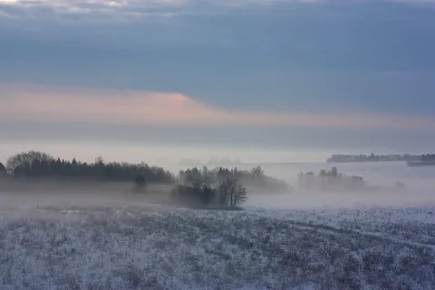 早晨，雾，冬天，黎明，风景，自然，日出，雪