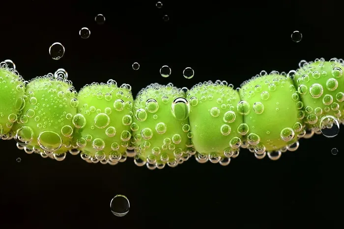 食物，水，湿，厨房，煮沸，光亮，泡沫，起泡