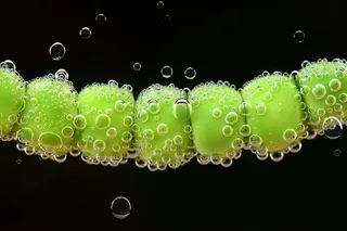 食物，水，湿，厨房，煮沸，光亮，泡沫，起泡