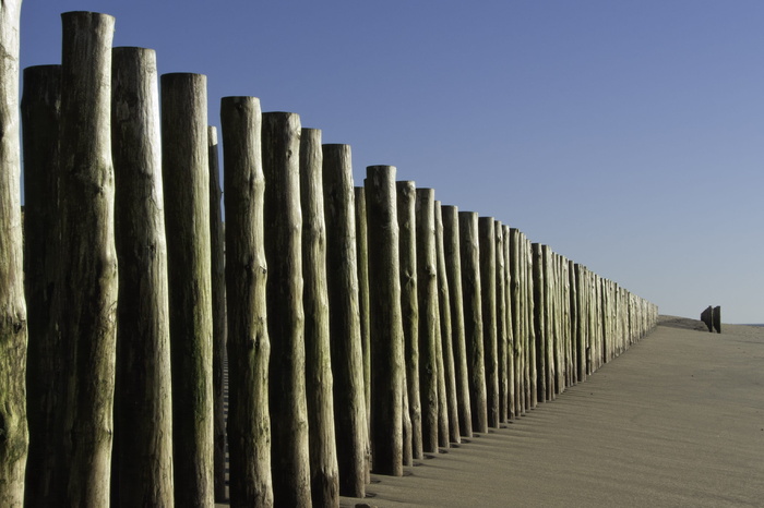 海洋，海滩，黑色，微风，波浪，天空，连成一排，白天，大自然