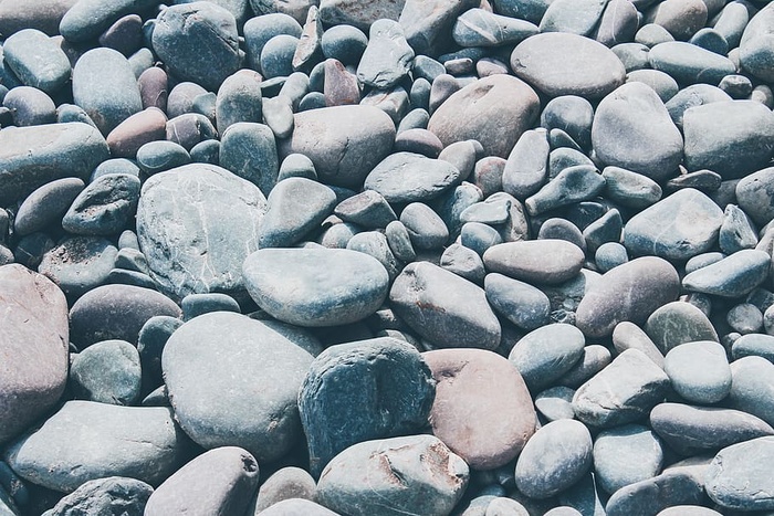 灰石、卵石、岩石、地毯、走道、路径、纹理、无脊椎动物