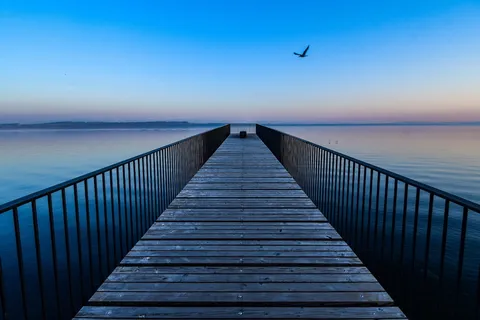 桥，湖，鸟，黄昏，地平线，诺伊沙特尔，瑞士，水