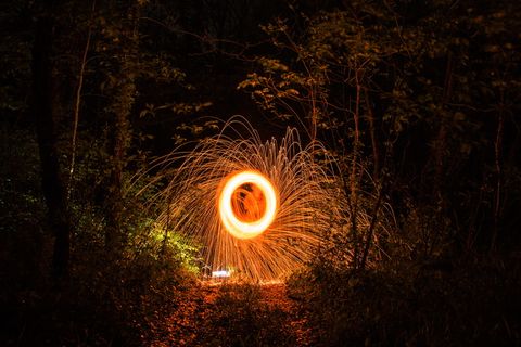 美国, 印第安纳州, 森林, 钢丝绒, 夜, 钢丝绒, 照明, 发光