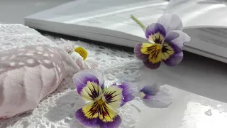 两朵紫色花瓣的花，在旁边，书，书，花，西风