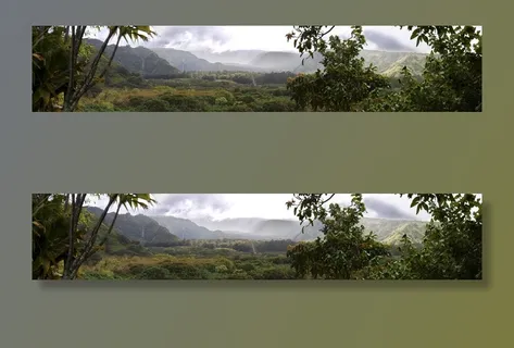 森林照片 森林照片