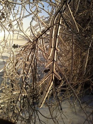 冰风暴，冬天，风暴，寒冷，冰冻，冰冻，自然，风景