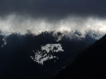 雪，山，有涂层，雾，景观，峰，峰，树