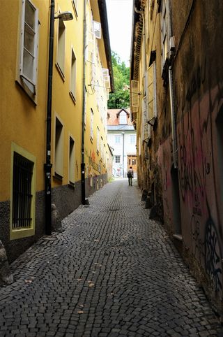 斯洛文尼亚卢布尔雅那，城堡，小径，道路，步行路，古城，古城