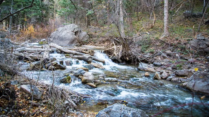 河岸，四周，树木，身体，水，溪流，岩石，自然