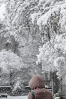 穿黑色泡泡夹克的人 穿黑色泡泡夹克的人