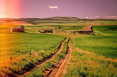 带农舍和道路的田野景观