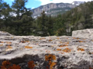 岩石，平台，山，树，树，选择性聚焦，一天，没有人