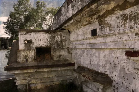 新西兰,克伦威尔,摇摇欲坠,建筑,建筑,石头,废墟,剥落 新西兰,克伦威尔,摇摇欲坠,建筑,建筑,石头,废墟,剥落