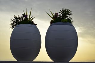日落，葬礼，Urns，设计，葬礼Urns，葬礼设计，inzein，植物