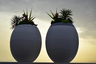 日落，葬礼，Urns，设计，葬礼Urns，葬礼设计，inzein，植物