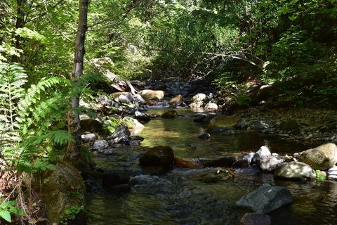 克里克，北加利福尼亚州，远足，树木，树木，水，固体，森林