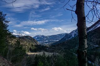 绿树和棕色山脉