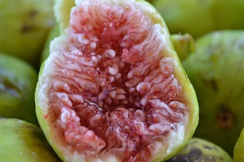 水果、食品、甜味、健康、新鲜、无花果、食品和饮料、健康饮食