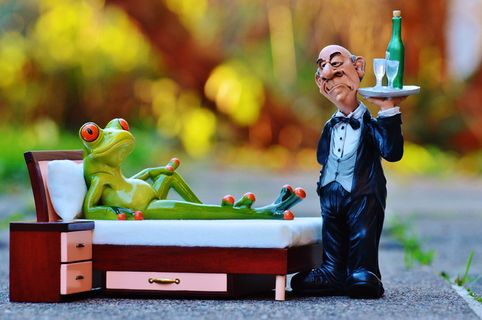 青蛙，床，手术，管家，放松，休息，有趣，可爱