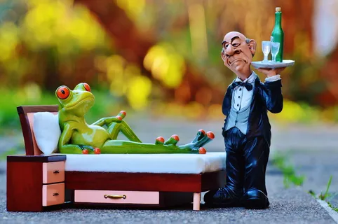 青蛙，床，手术，管家，放松，休息，有趣，可爱