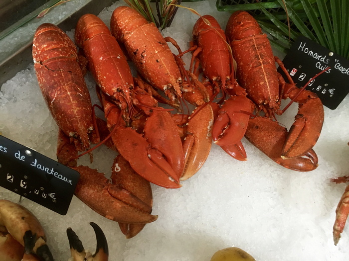 龙虾，海洋动物，食品，动物，frisch，美食家，fischhandel，熟食店