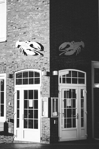 建筑物的灰度照片