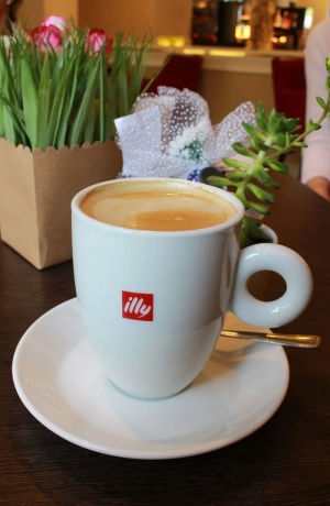 Illy品牌咖啡杯-Illycafe是一家意大利咖啡烘焙公司，专门生产意式浓缩咖啡，仅供编辑使用