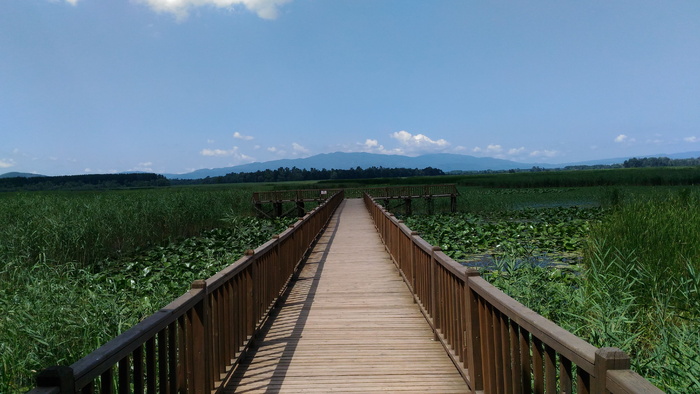 efteni lake nature、golyaka、duzce、lake、turkey、lotus flower、iskele、horizon