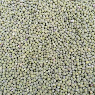 孟公，乡村，小，皮克斯湾，全画幅，丰富，背景，大对象群