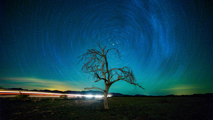 无叶树超时空摄影，树，光，长曝光，天体摄影，夜晚，夜晚，光迹