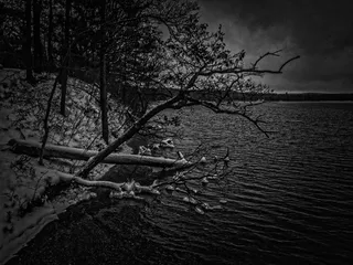 interlochen，美国，湖泊，树木，冬季，绿湖，绿湖州立公园，冬季景观