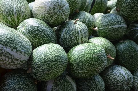 南瓜，绿色，秋天，南瓜艺术，自然，食品和饮料，健康饮食，食物