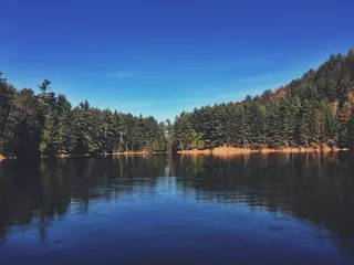 这，幸福，幸福，爱情，天空，蓝色，绿色，湖水